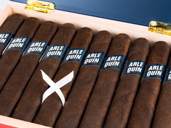 Fratello Arlequin Robusto bp